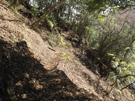 20161206hike (435)